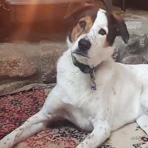 Meet your Posher, Luanne